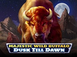 Majestic Wild Buffalo Dusk Till Dawn